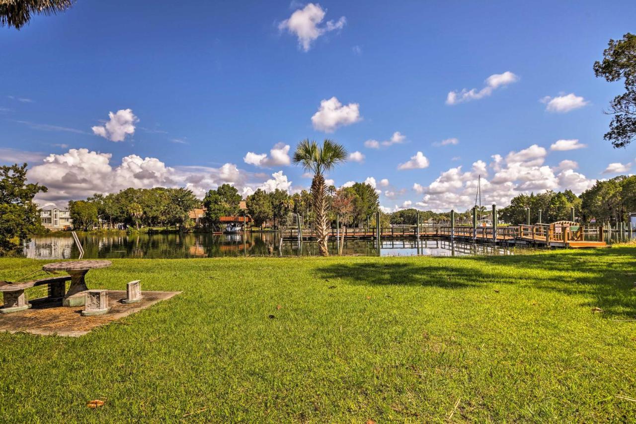 Crystal River House Scalloping And Dock, Gulf 7 Mi! Exterior foto